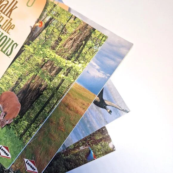 Biomes North America Walk In The Prairie Deciduous Forest Rain Forest Tundra Lot - Picture 4 of 5